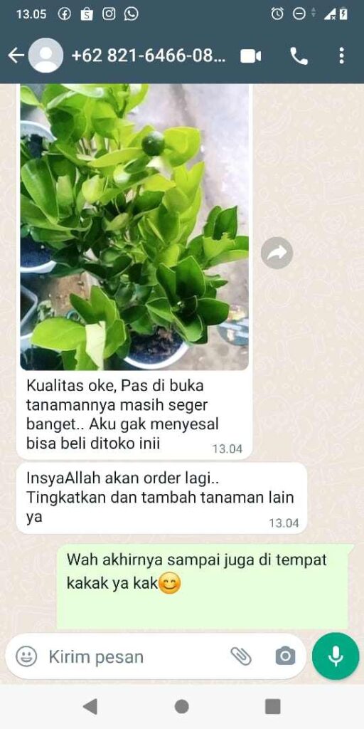 TESTI 1