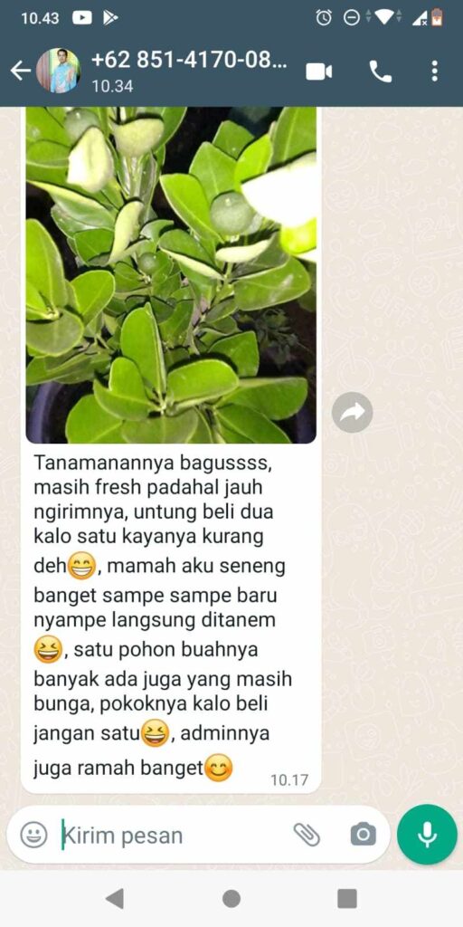 TESTI 2