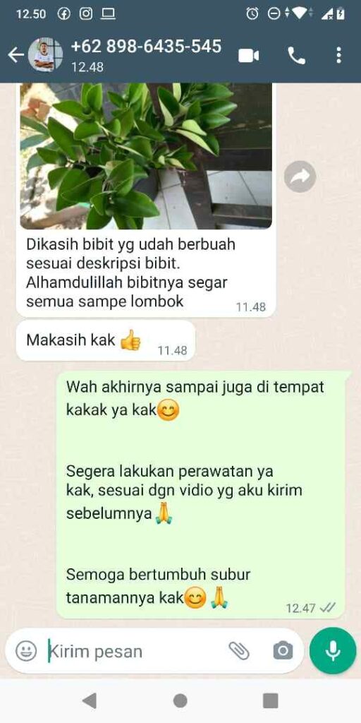 TESTI 3