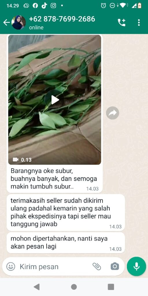TESTI 4