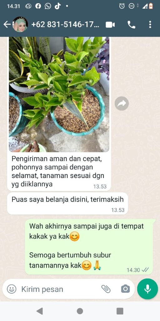 TESTI 5