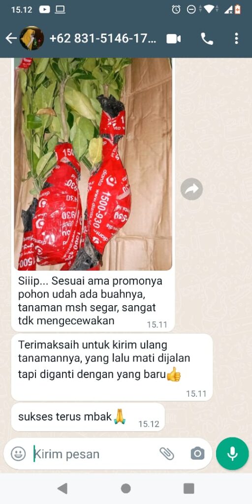 TESTI 6